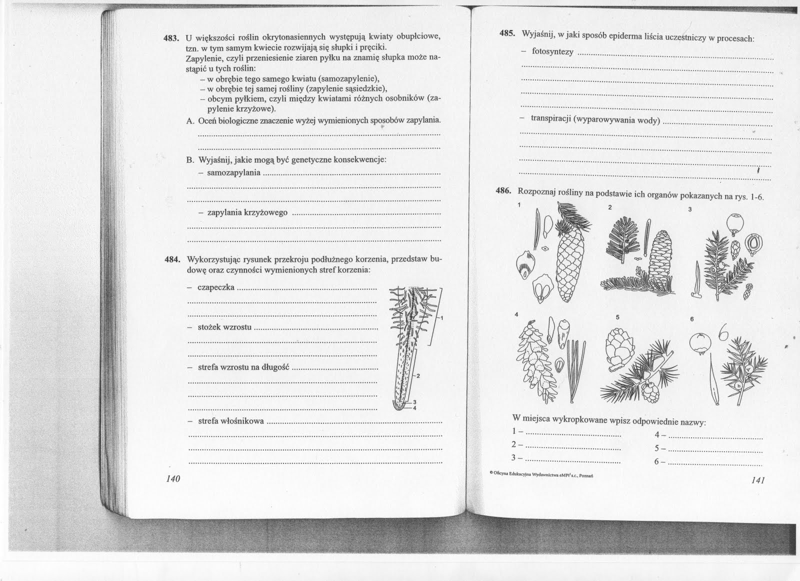 Biologia Klasa 5 Sprawdziany Chomikuj Biologiczno-Chemiczna: Rośliny nasienne