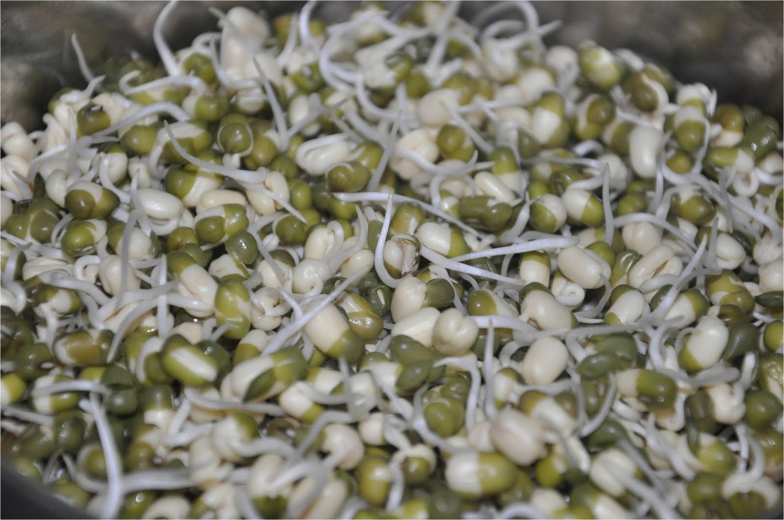 Mharo Rajasthan's Recipes - Rajasthan A State in Western India ...