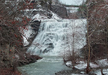 Ithaca Falls