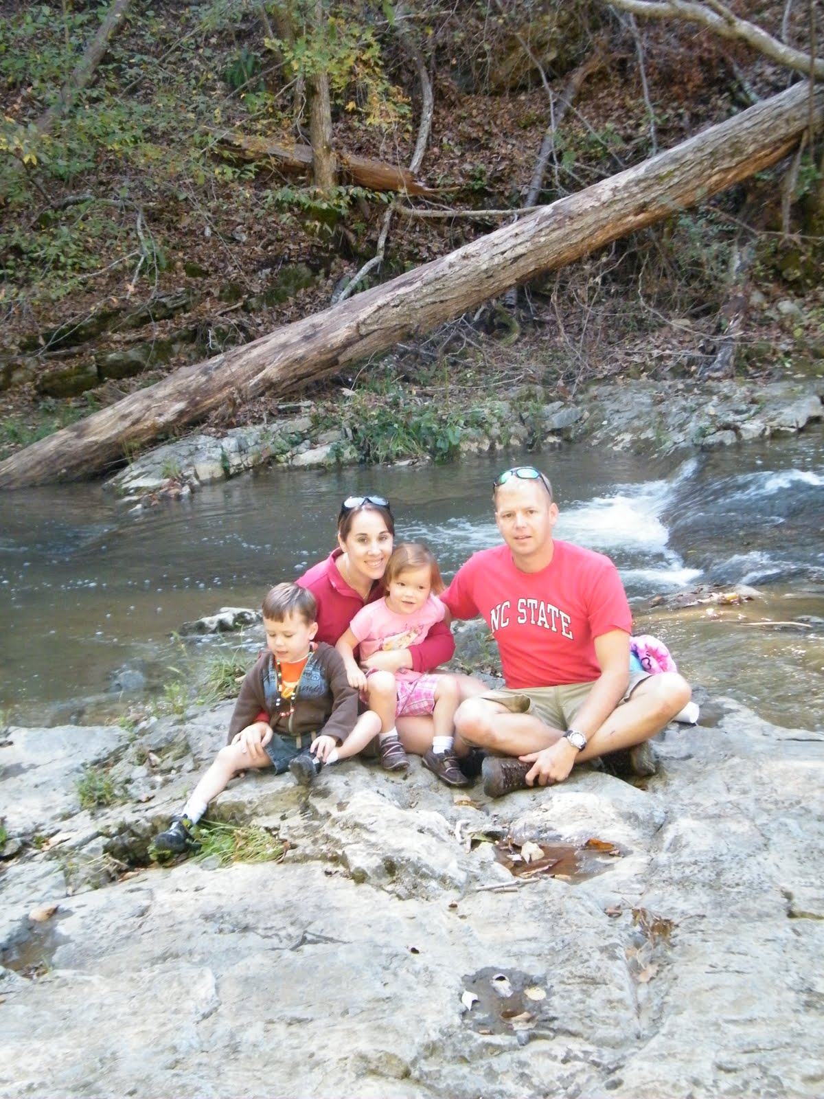 The Little Red House Natural Bridge, VA