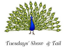 Tuesday Show and Tail