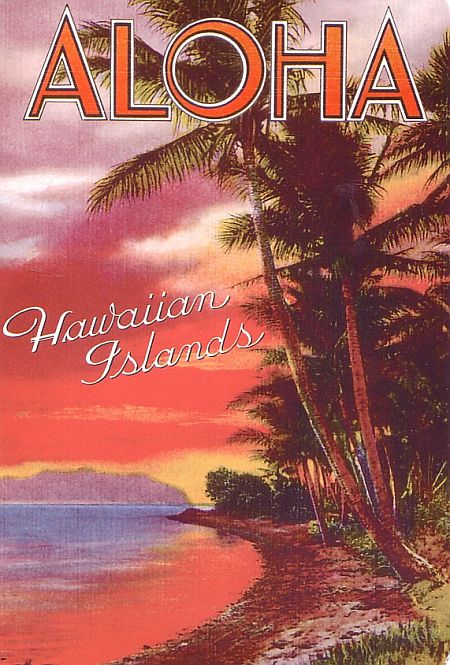 Vintage Hawaiian Postcard 19