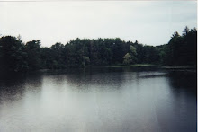 Lake Linnea