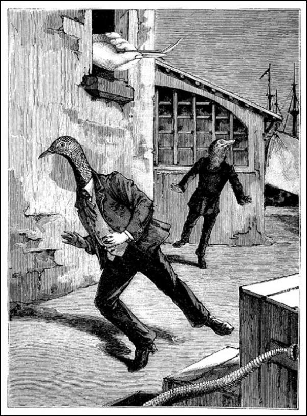 Dream on my mind Max Ernst /////// collage