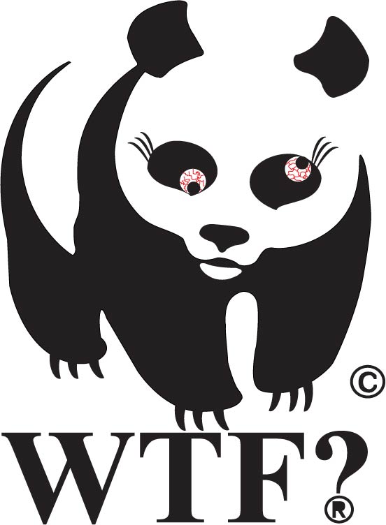 Commtech: Hillary's Assignments