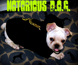 the batpig