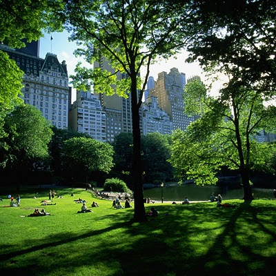 Central Park, New York, United States download free wallpapers iPad