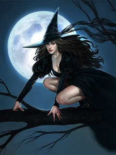 Halloween, pun mjesec i vještica na grani download besplatne pozadine slike za mobitele