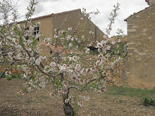 La primavera en mi pueblo