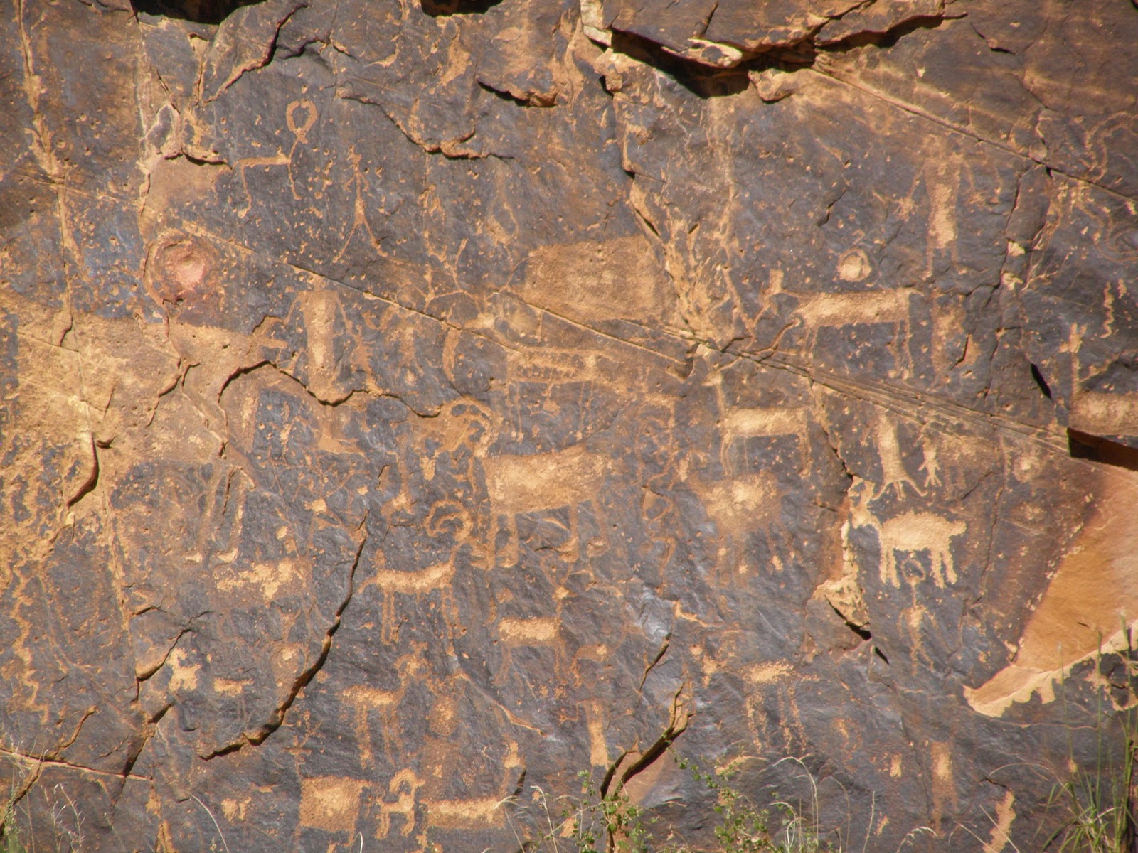 What will we do when we grow up?: Rock Art Ranch: Holbrook, AZ