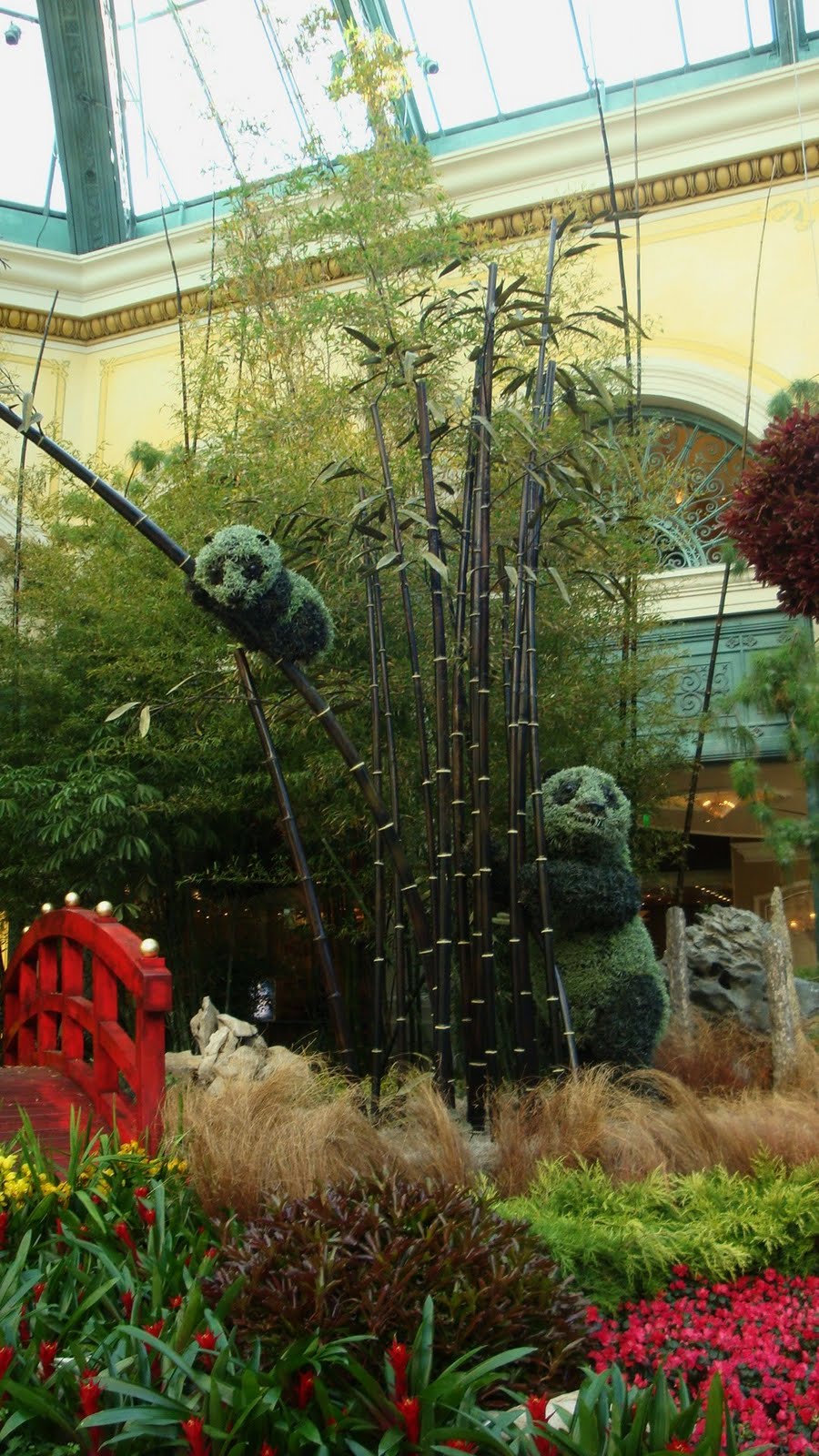 [Vegas+-+Bellagio+conservatory+pandas.JPG]
