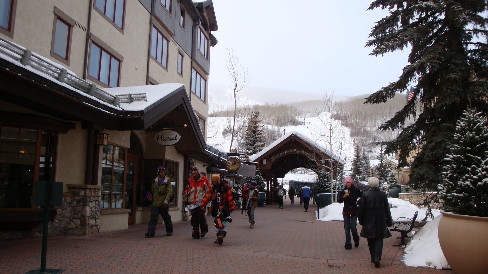 [DSC01387.JPG]