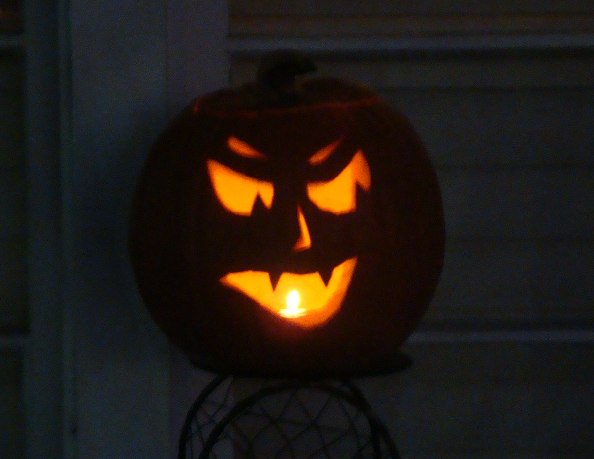[DSC01220.JPG]