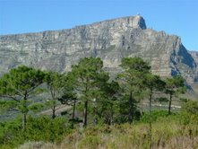 Table Mountain, Cape Town