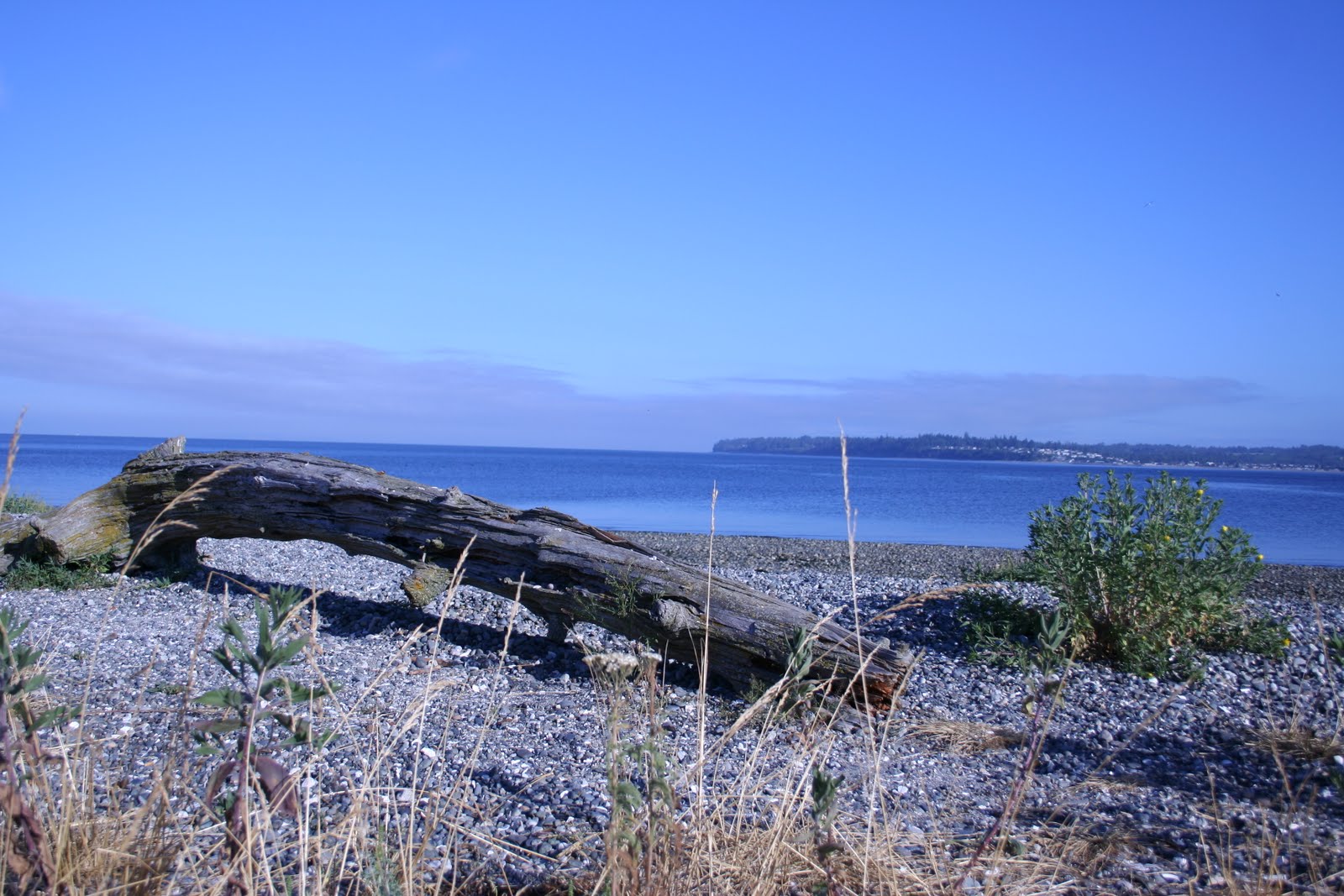 MY LIFE IN CANADA, MY TRAVELS by MALOU CRUZ Camping Birch Bay State