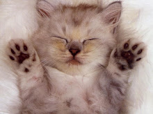 mamma che sonno