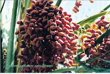 dates red from ras al khaima