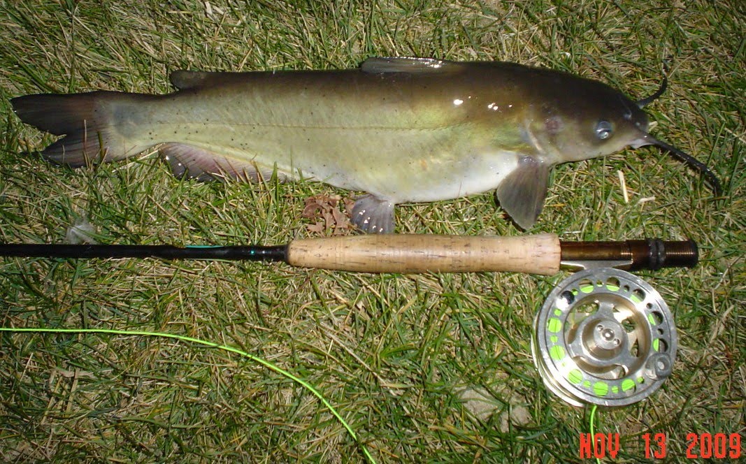 FishnDave Night FlyFishing 111309