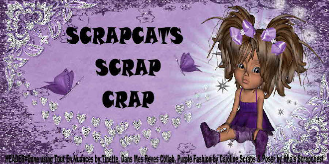 Scrapcat's Scrap Crap