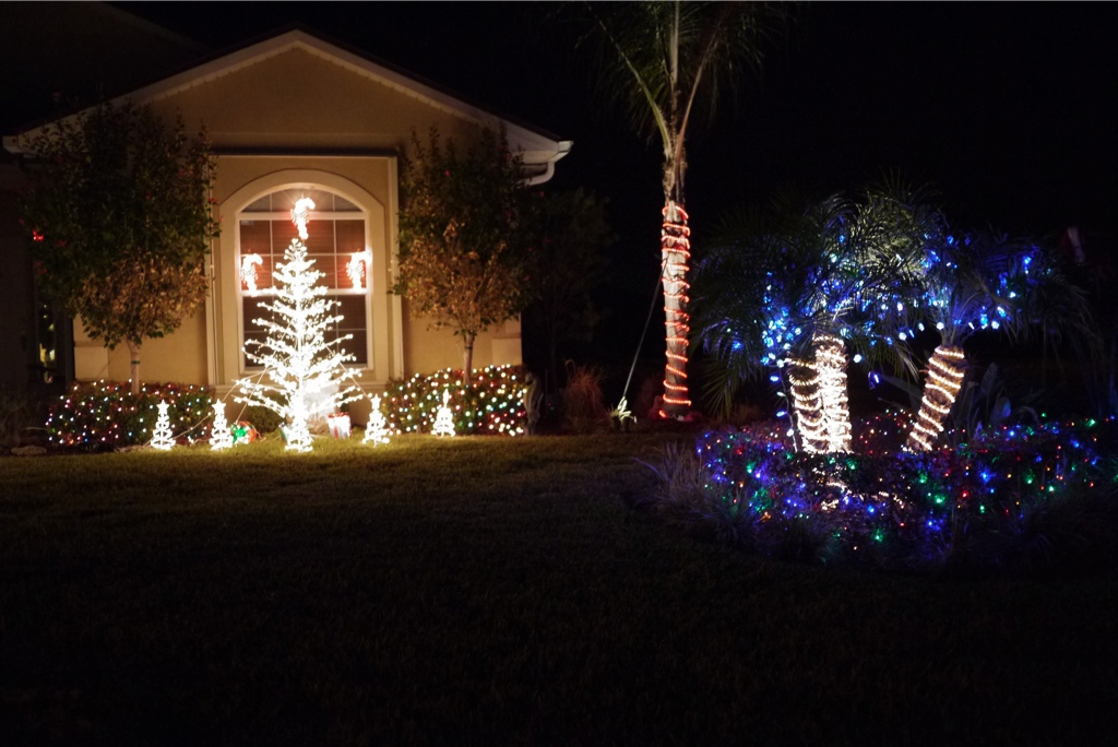 Christmas Lights in Florida: Santa Flamingo
