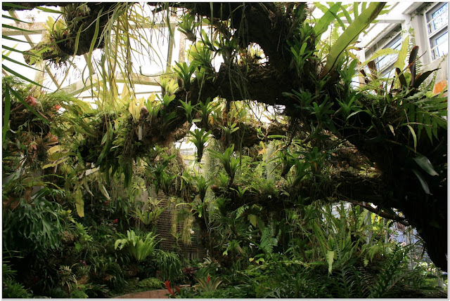 Southeast Florida Garden Evolvement: Fairchild Tropical Botanic Garden ...