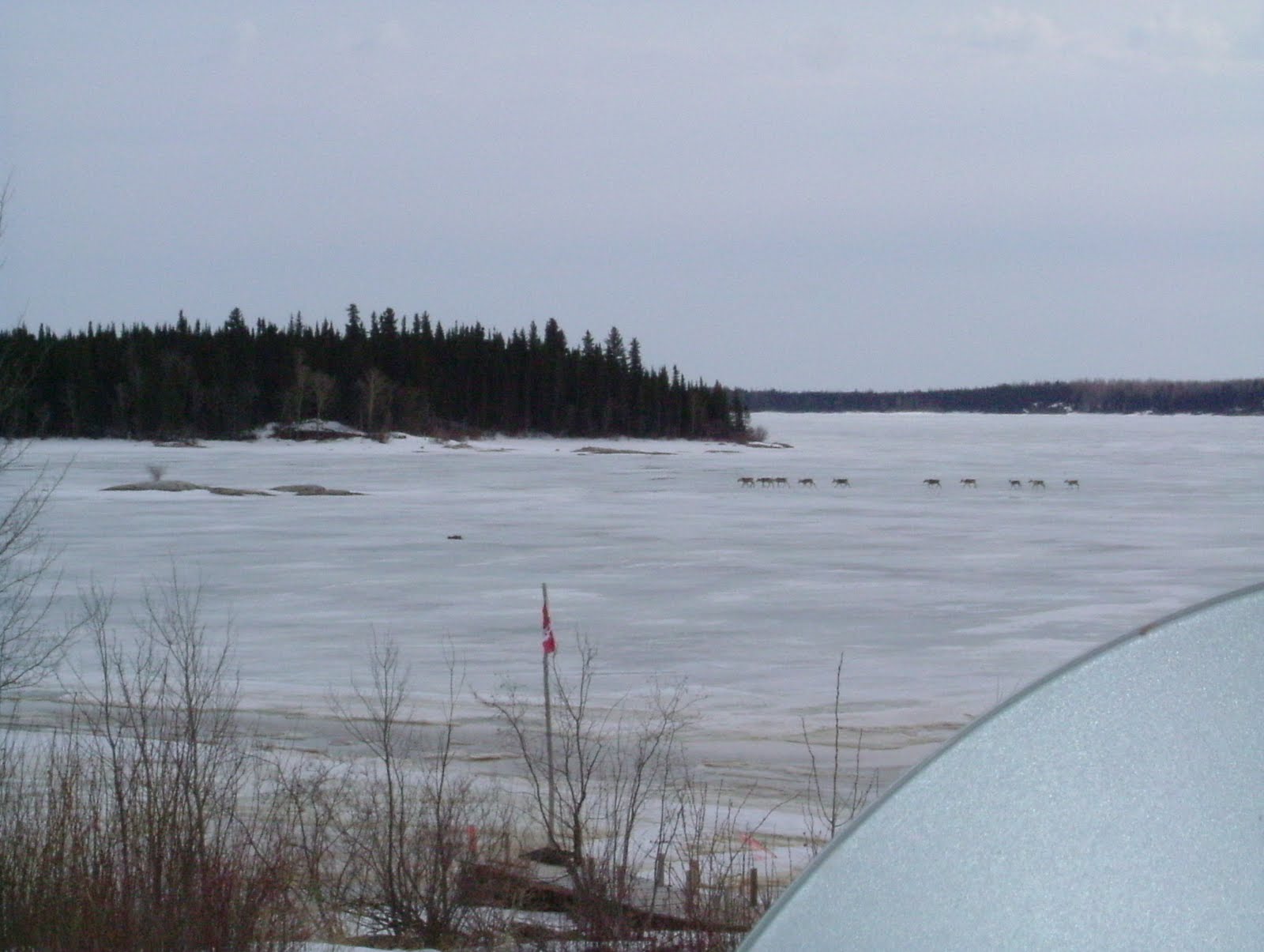 God's Lake Narrows Nature