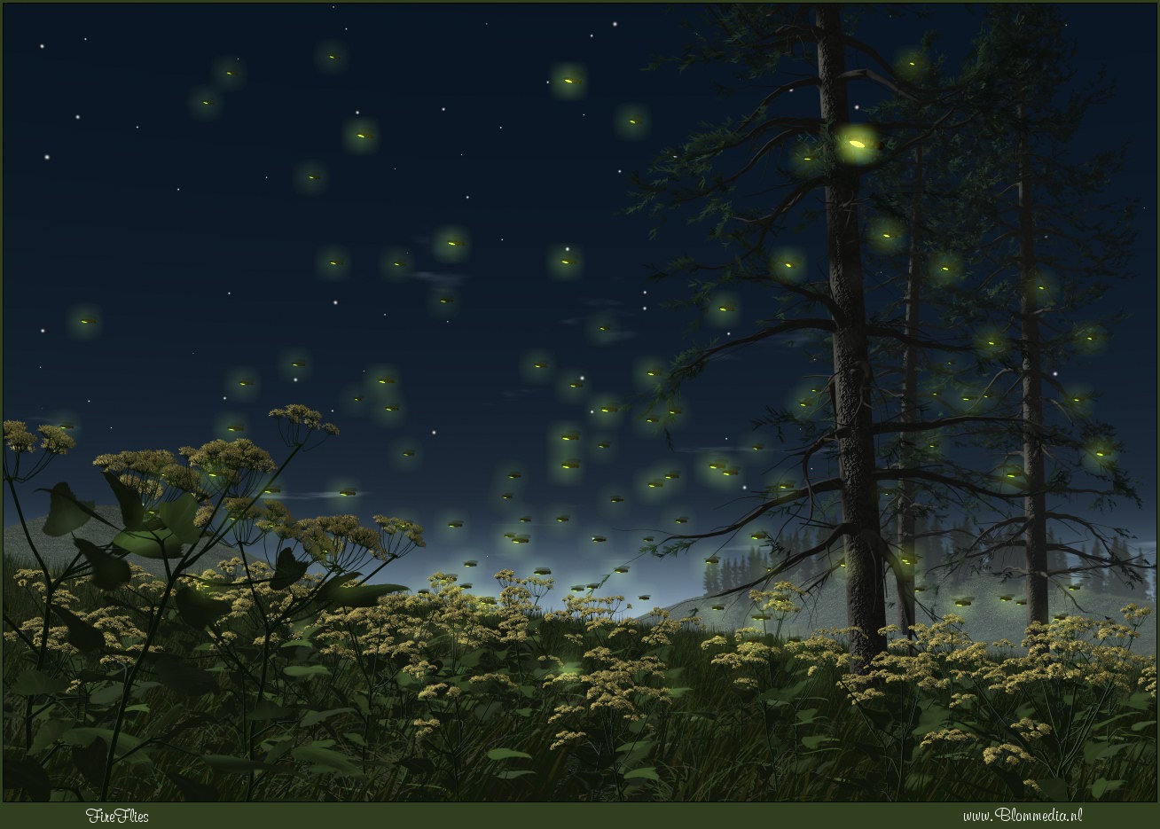 [Fireflies.jpg]