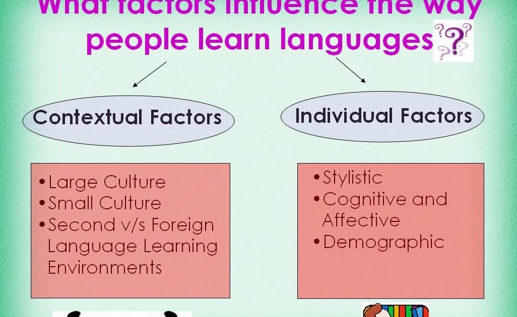 Affective factors in learning language. Basic branches of internal and external linguistics. Types of motivation. External language. What is the second language acquisition.