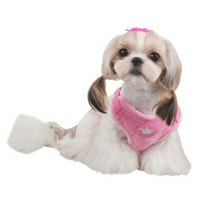 DUNALUNA BLOG MUJERES DE HOY: MODA PARA PERROS NO OS LO PERDAIS