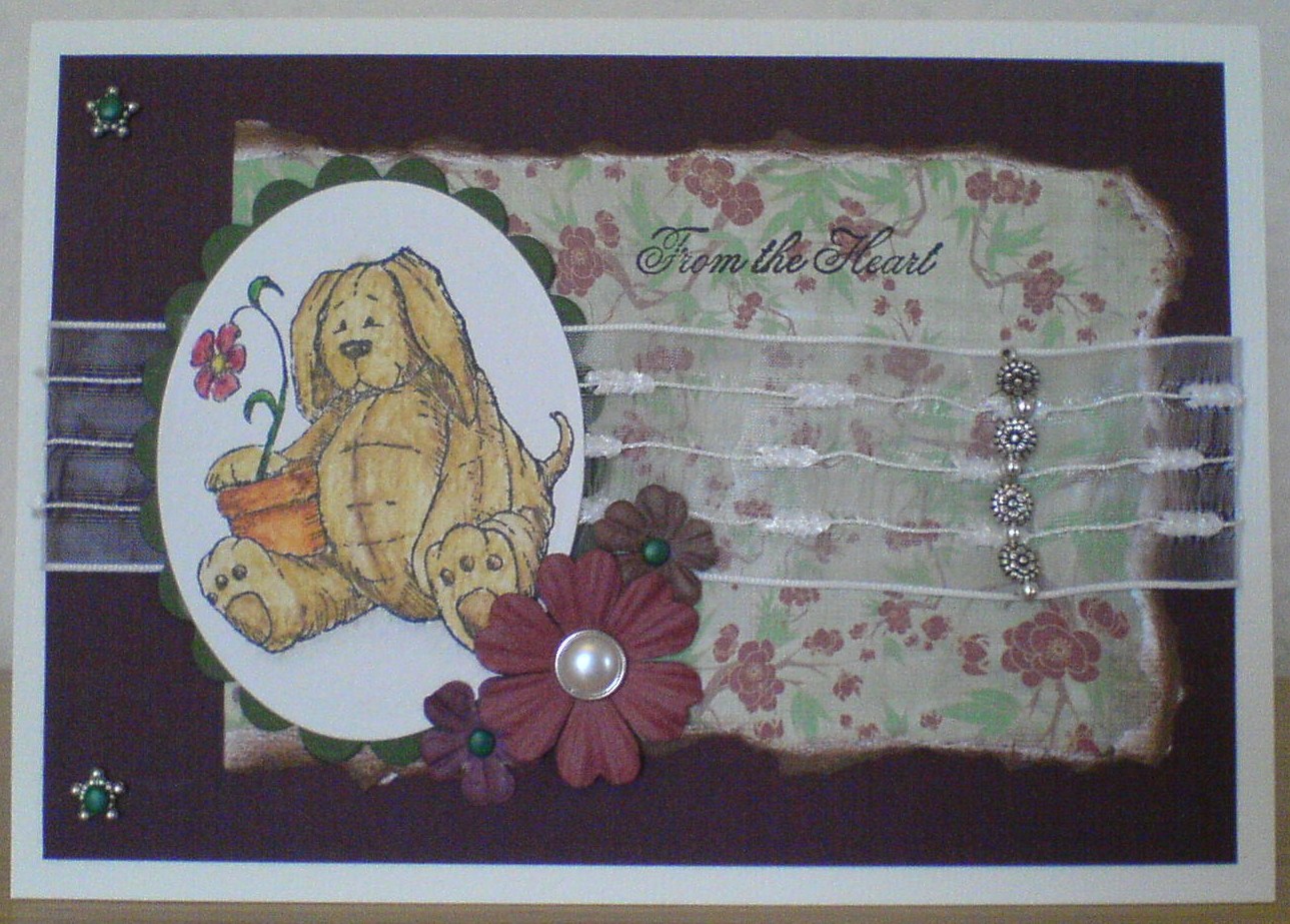 [Sugar+Nellie+008.JPG]