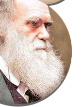 Charles Darwin bicentenario