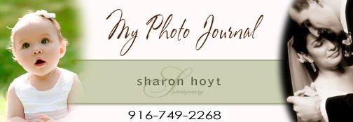 Sharon Hoyt Photography