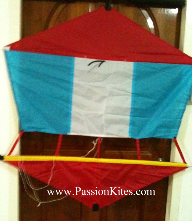 Buy Kites in Singapore New Product Updates