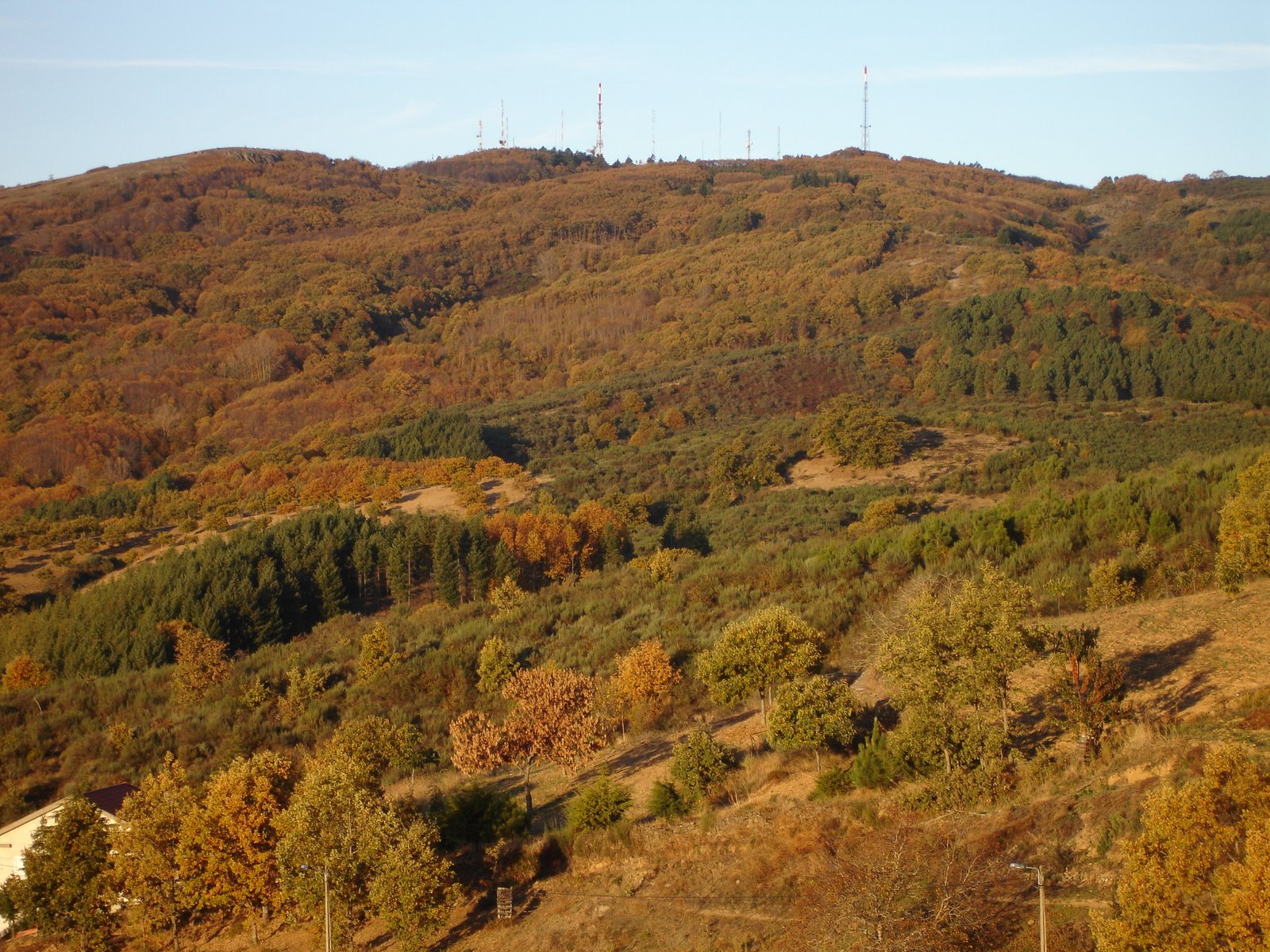[outono+2007+029.jpg]