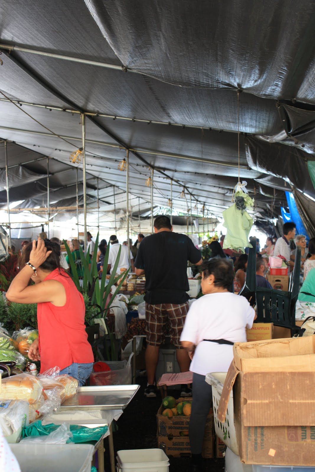 Quarterlife Adventures Hilo Farmers Market Hilo, Hawaii