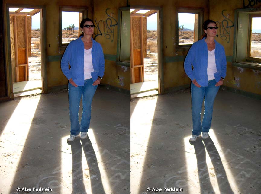 [070102-High-Desert--green-shack--Pat-inside-1-X-C-BLOG.jpg]