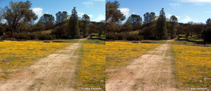 [070324-Shooting-Star-Rd--gold-fields-X-C-BLOG.jpg]