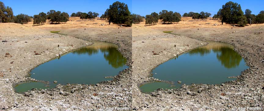 [071001-Red-Mt-Ranch--cow-pond-X-C-BLOG.jpg]