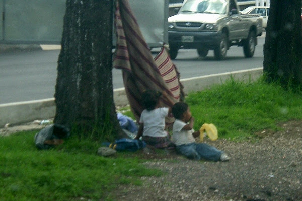 Guatemalan Children while parents work.