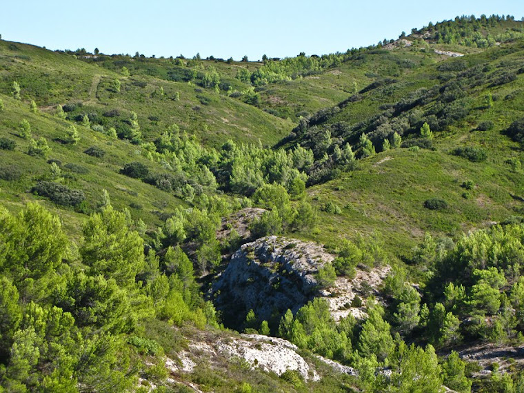 La Montagnette