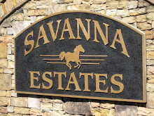 Savanna Estates Community-Canton