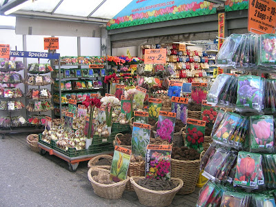 mercato dei fiori di Amsterdam