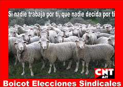 Boicot Elecciones Sindicales