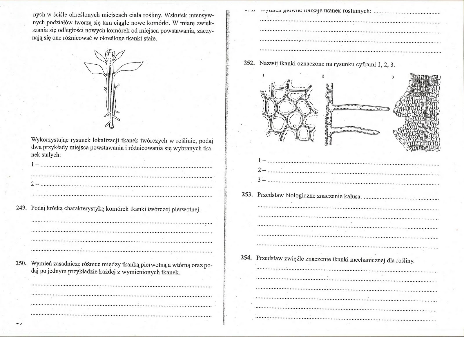 Kartkówka Z Biologii Klasa 5 Tkanki Roślinne Biologiczno-Chemiczna: Tkanki z biologii