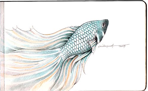 Lukisan Ikan Laga Dalam Balang Kaca Cikimm Com