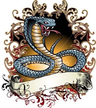 Here are some cobra tattoo pictures for you.If you want to have a new tattoo 