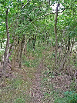 the former Braughing to Great Chesterford Roman Road, now just an overgrown track between two hedges that leads out to the M11. 