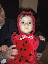 Our Little Lady Bug