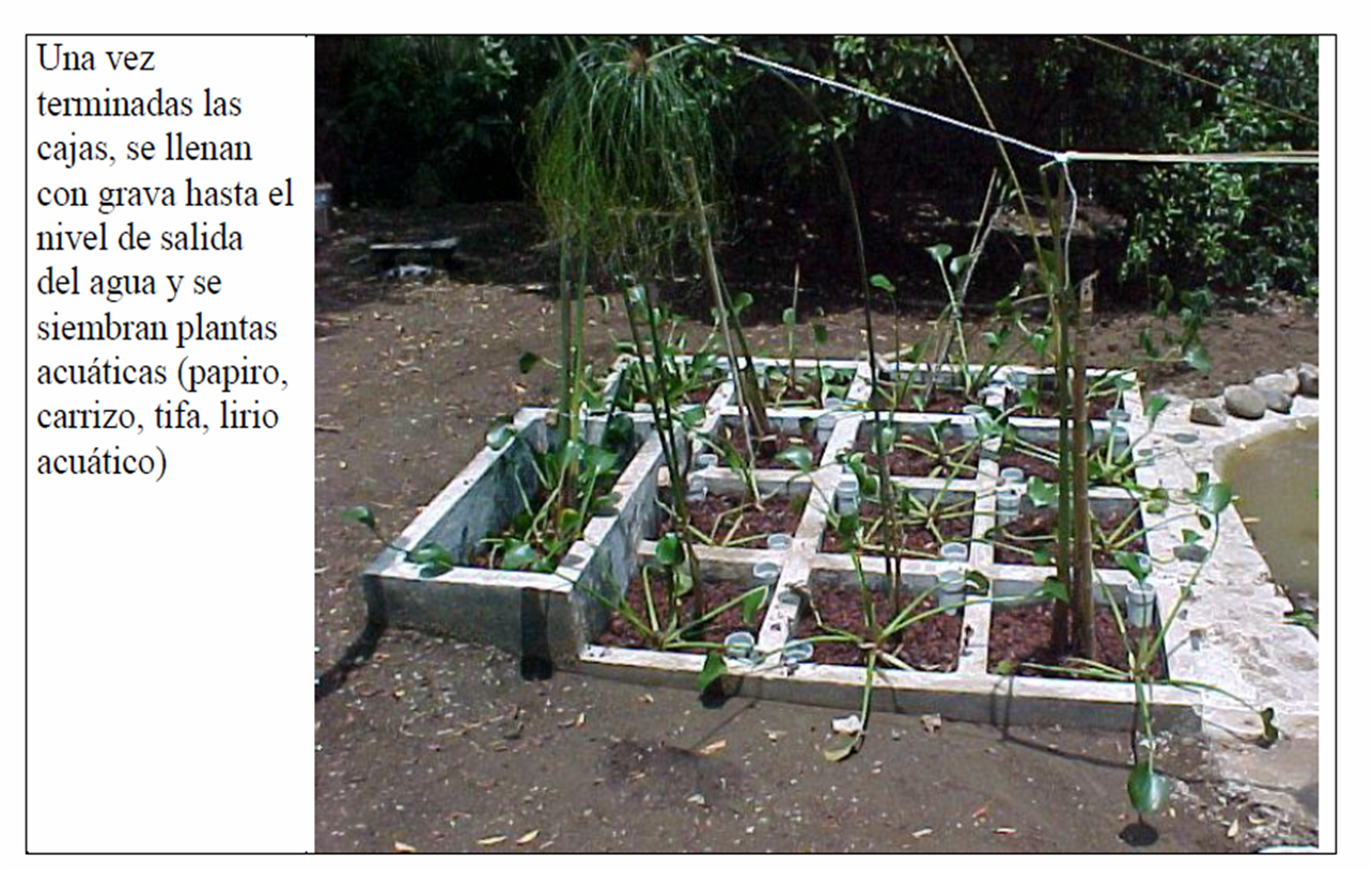 fabrica de ideas: Baños Secos