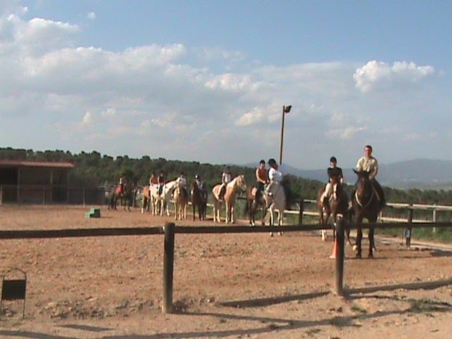 Alicante Escuela de Equitación